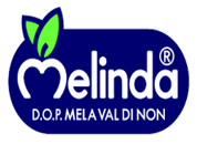 Logo Melinda